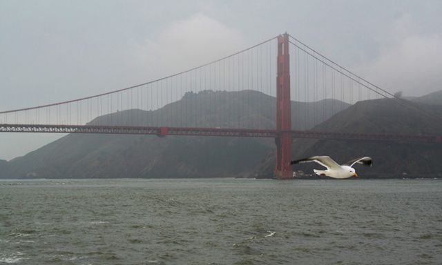 Pont du Golden Gate ~ San Francisco ~ Californie ~ USA ~ 29 décembre 2005 