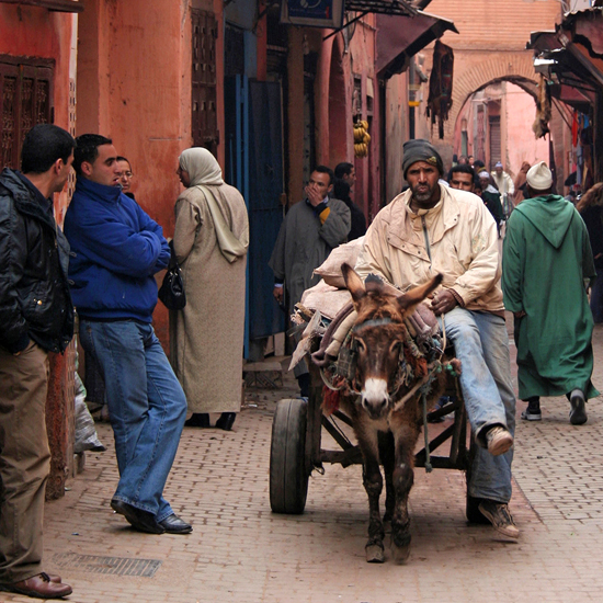 Marrakech ~ Maroc ~ 10 février 2006